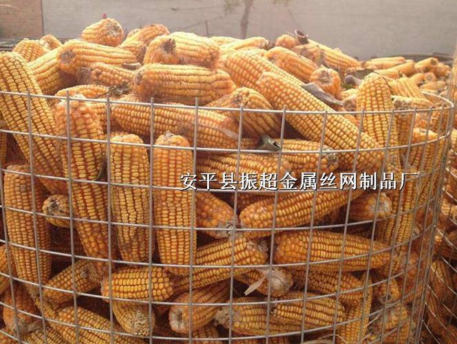 玉米收获后的贮藏要点及玉米种植技术指南